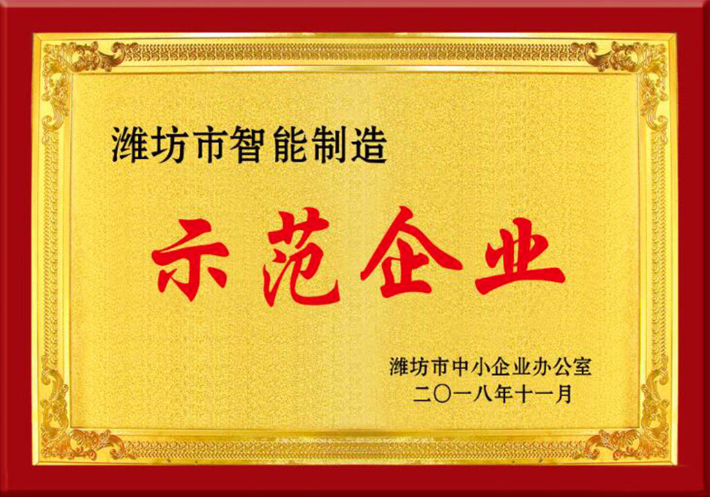 濰(wéi)坊市智能(néng)制造示範(fan)企業